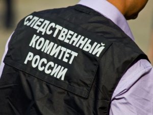 Глава ведомства поручил возбудить уголовное дело по факту покушения на убийство ребенка в Московской области